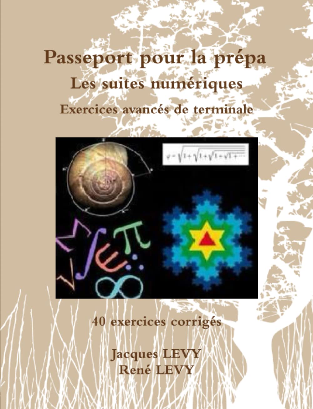 Passeport Pour La Prpa: Les Suites Numriques (French Edition),Used