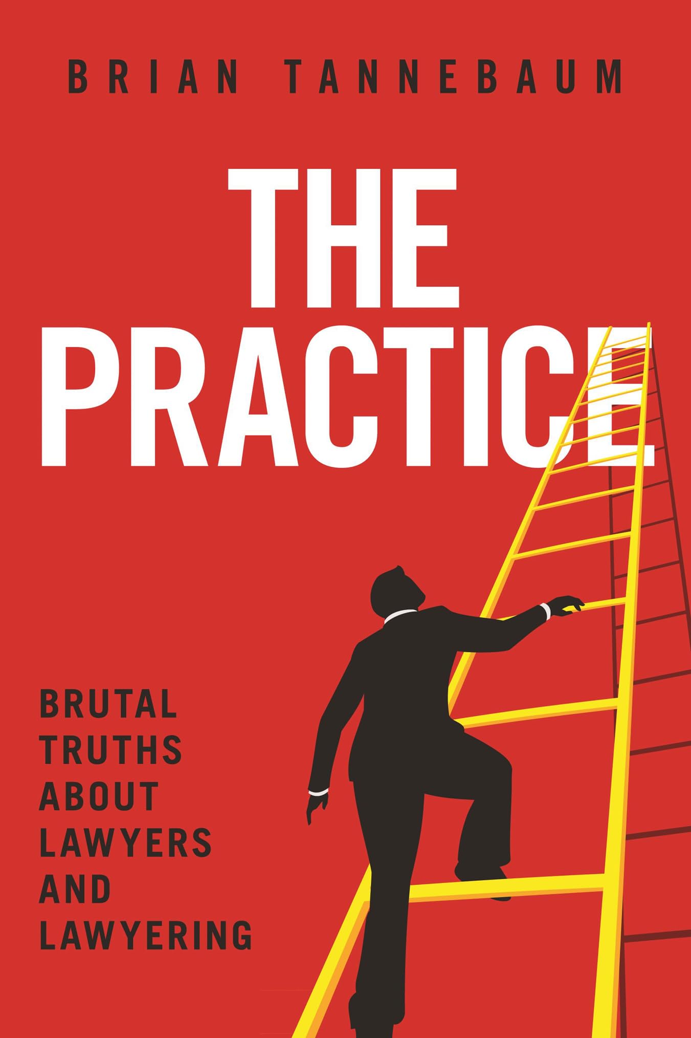 The Practice: Brutal Truths About Lawyers and Lawyering,New
