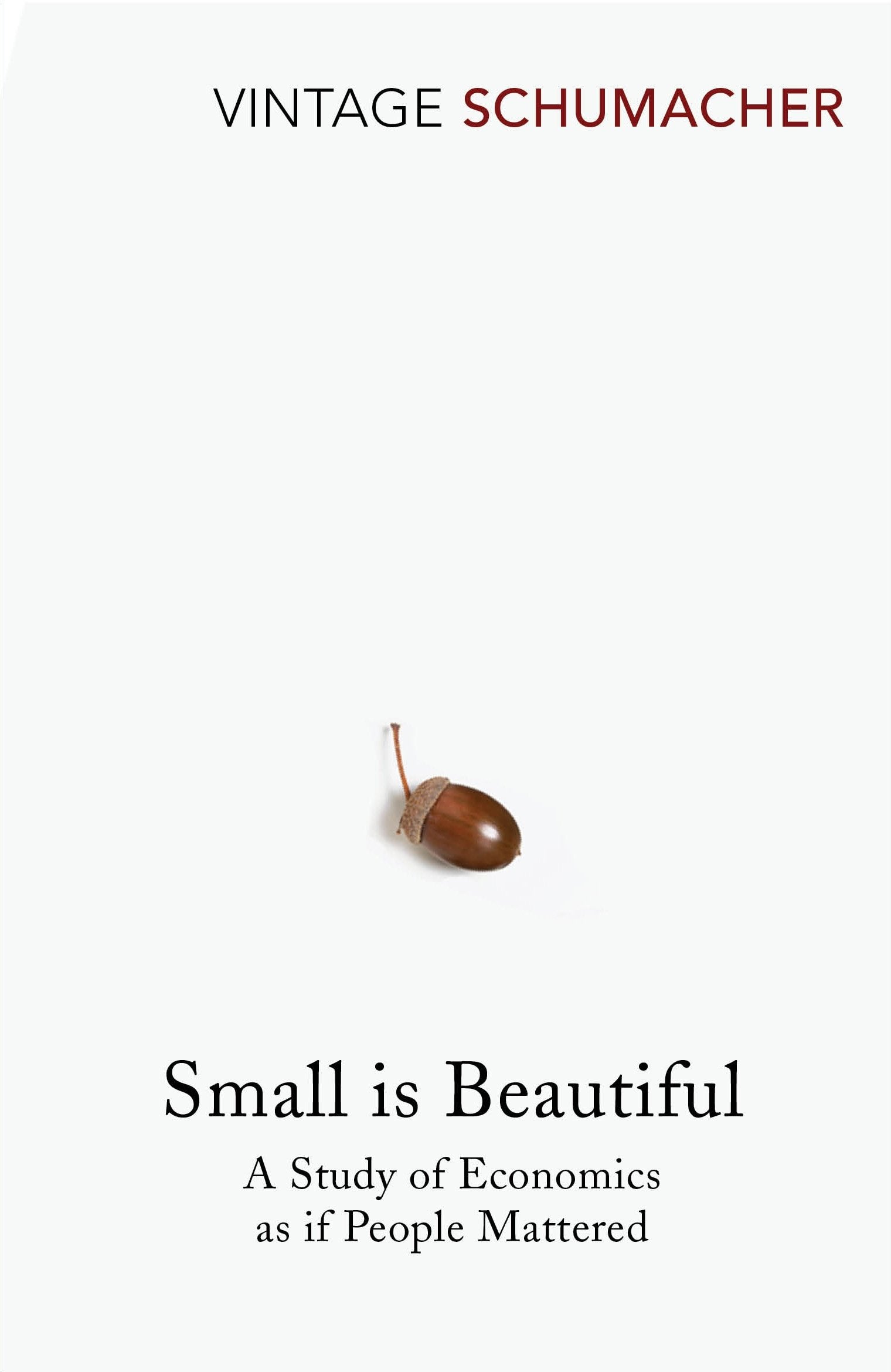 Small Is Beautiful [Paperback] [Jan 01, 1993] E F Schumacher,New