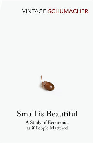 Small Is Beautiful [Paperback] [Jan 01, 1993] E F Schumacher