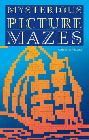 Mysterious Picture Mazes,Used
