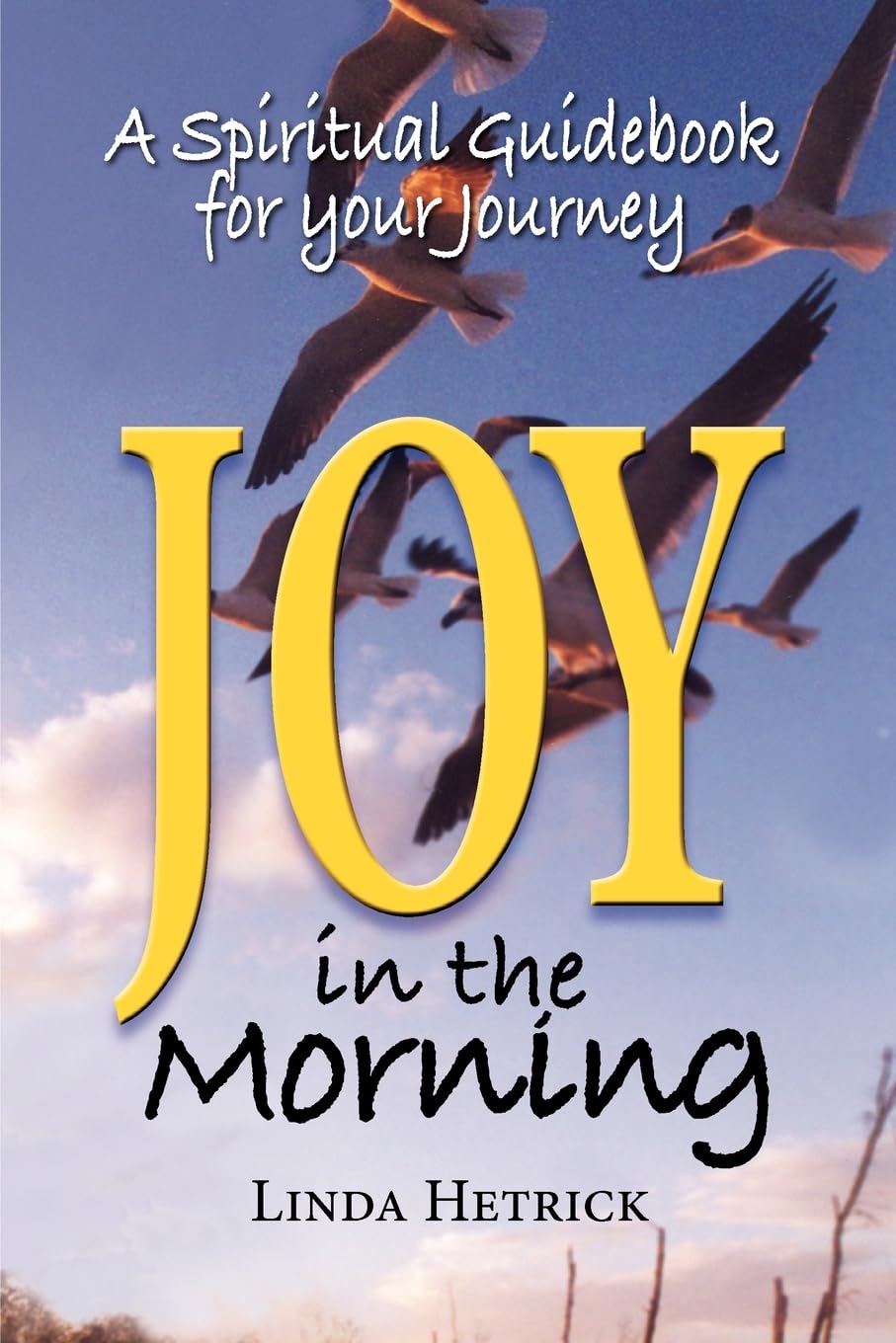 Joy In The Morning, A Spiritual Guidebook For Your Journey,Used