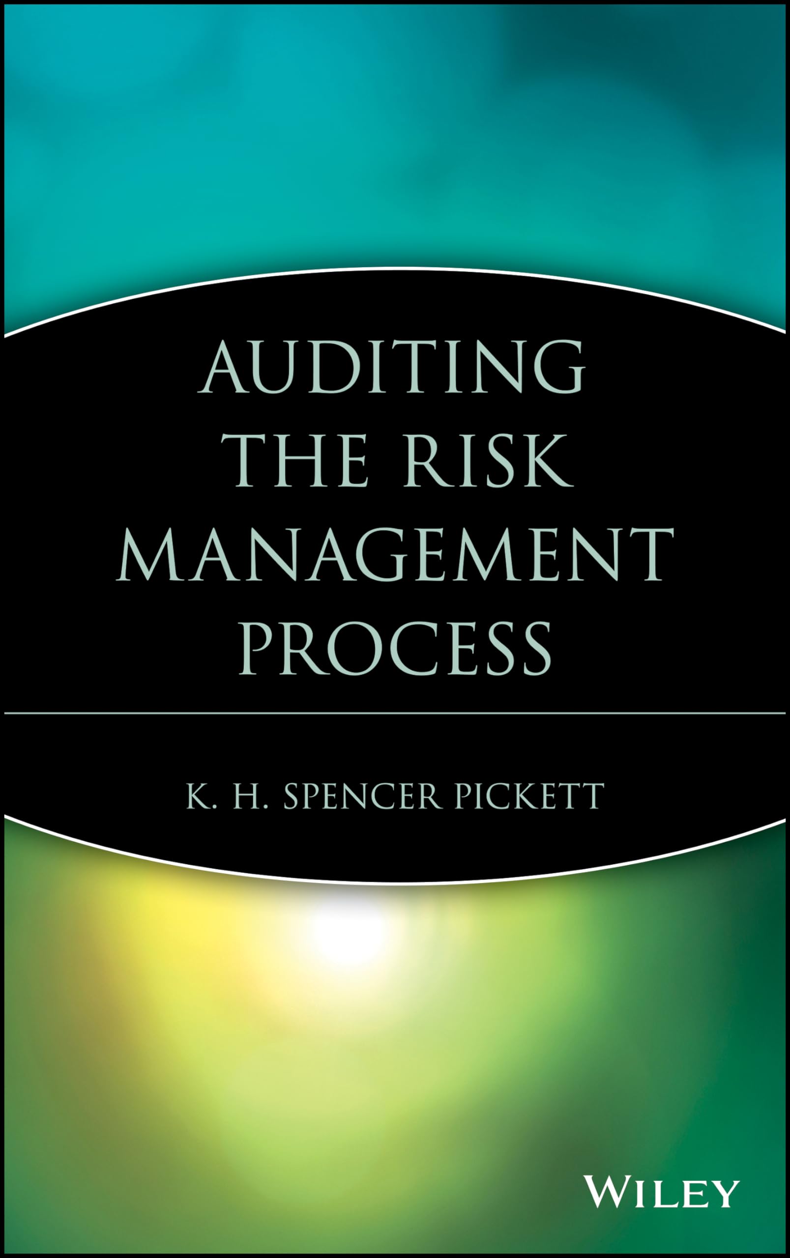 Auditing the Risk Management Process,Used