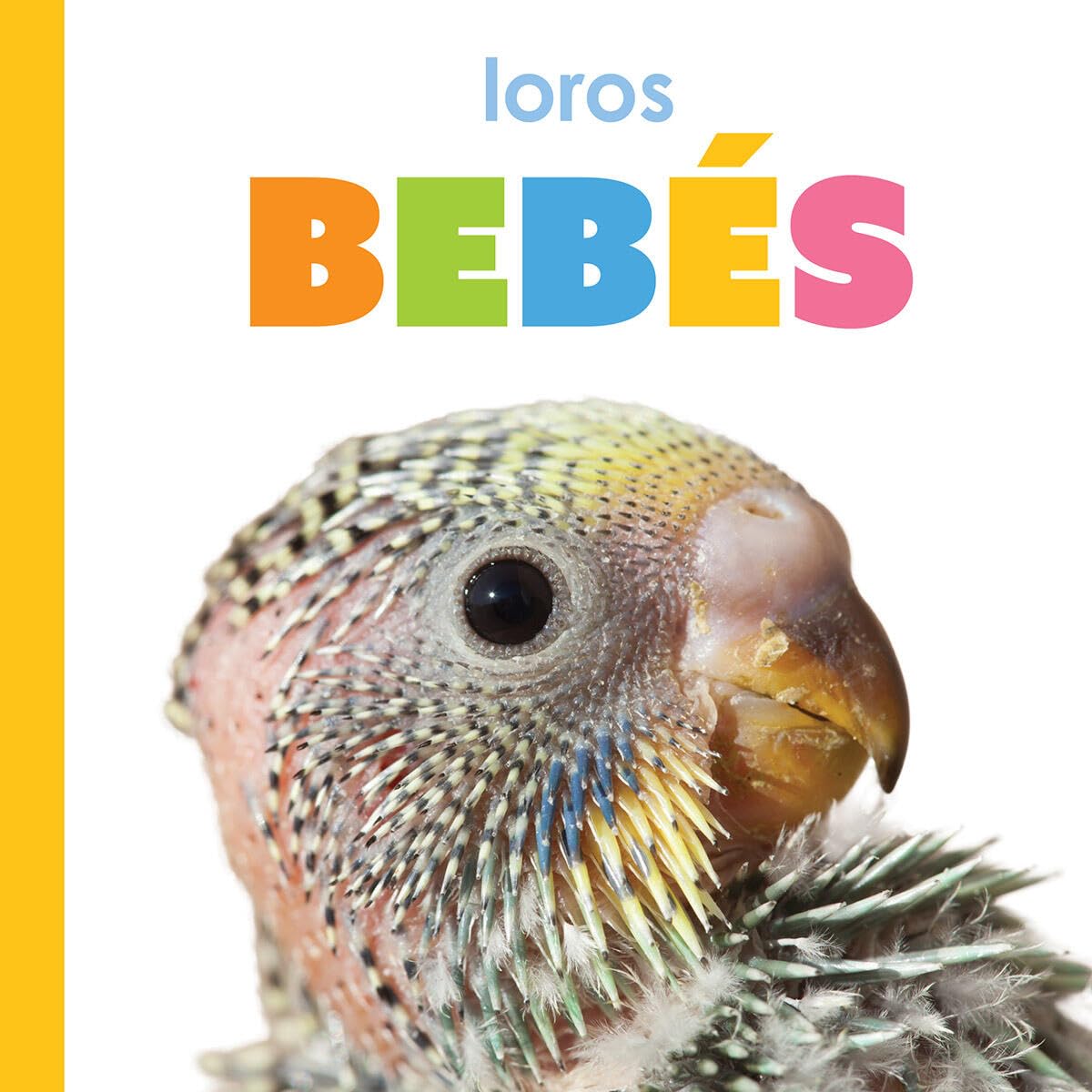 Loros Bebs (Spanish Edition)