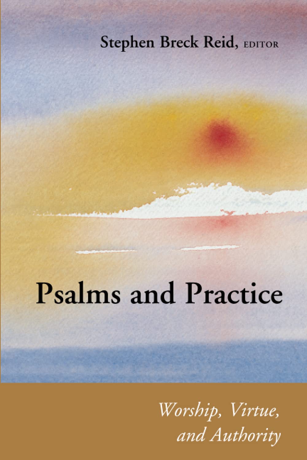 Psalms And Practice: Worship, Virtue, And Authority (Connections),New