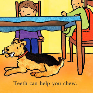 Teeth Are Not for Biting (Board Book) (Best Behavior Series),Used