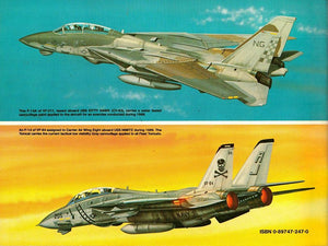 F14 Tomcat In Action  Aircraft No. 105