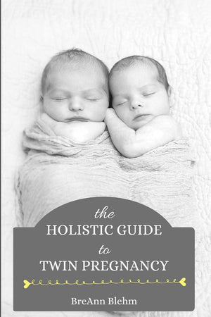 The Holistic Guide to Twin Pregnancy,Used