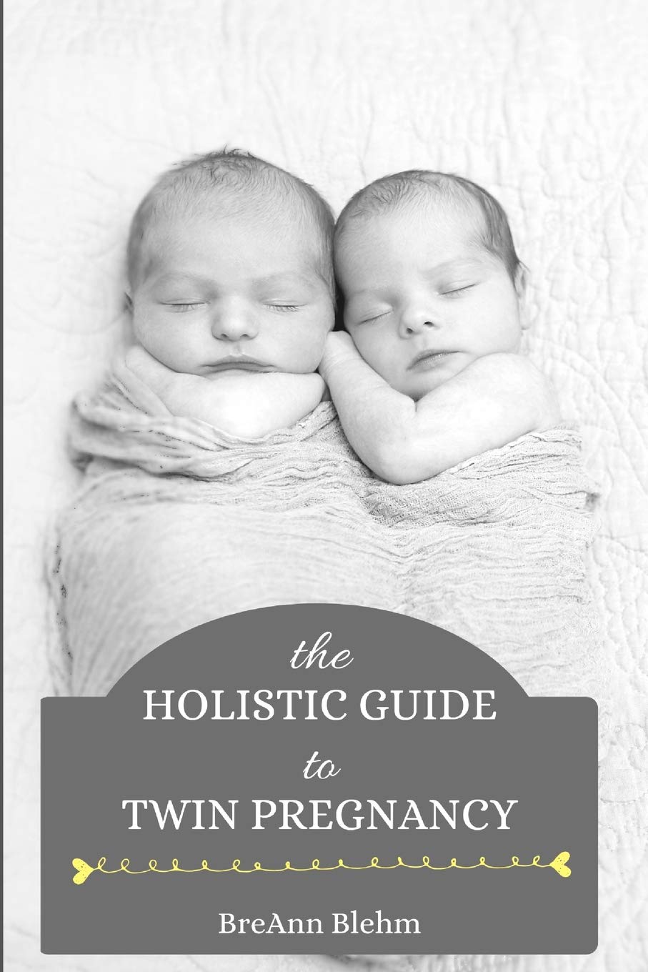 The Holistic Guide to Twin Pregnancy,Used