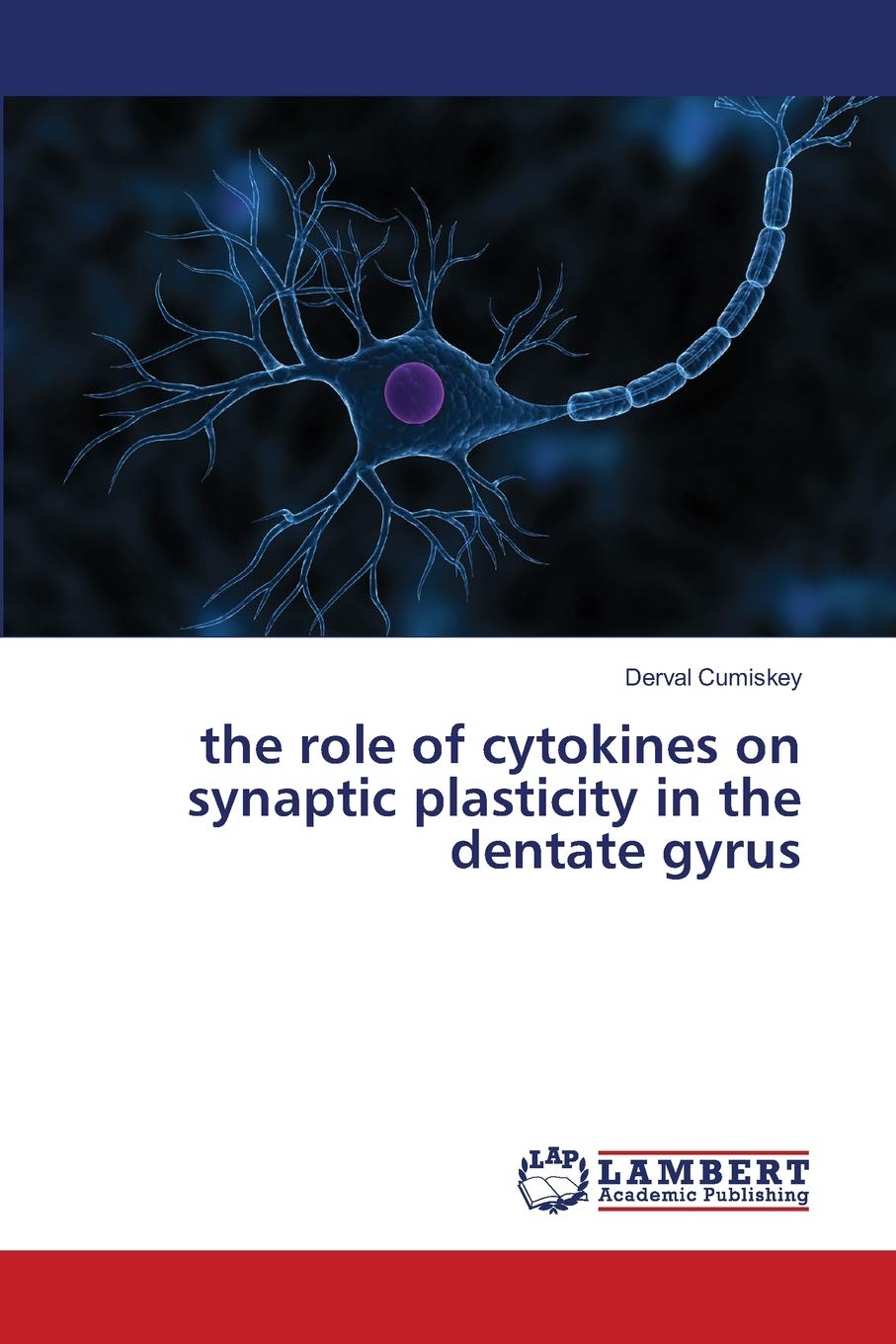 the role of cytokines on synaptic plasticity in the dentate gyrus,Used