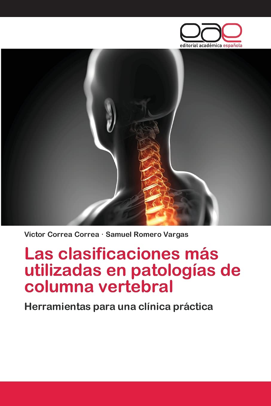 Las clasificaciones ms utilizadas en patologas de columna vertebral: Herramientas para una clnica prctica (Spanish Editi,Used