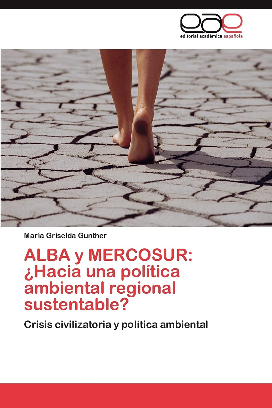 ALBA y MERCOSUR: Hacia una poltica ambiental regional sustentable?: Crisis civilizatoria y poltica ambiental (Spanish Editio,Used
