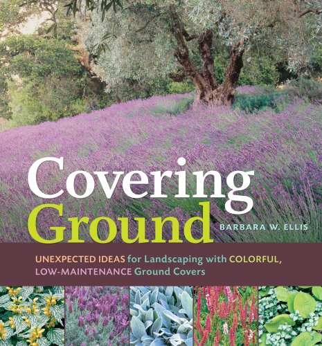 Covering Ground: Unexpected Ideas For Landscaping With Colorful, Lowmaintenance Ground Covers-new