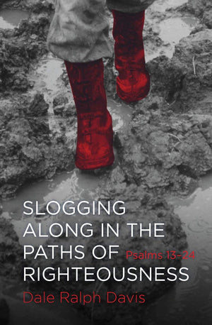 Slogging Along in the Paths of Righteousness: Psalms 1324