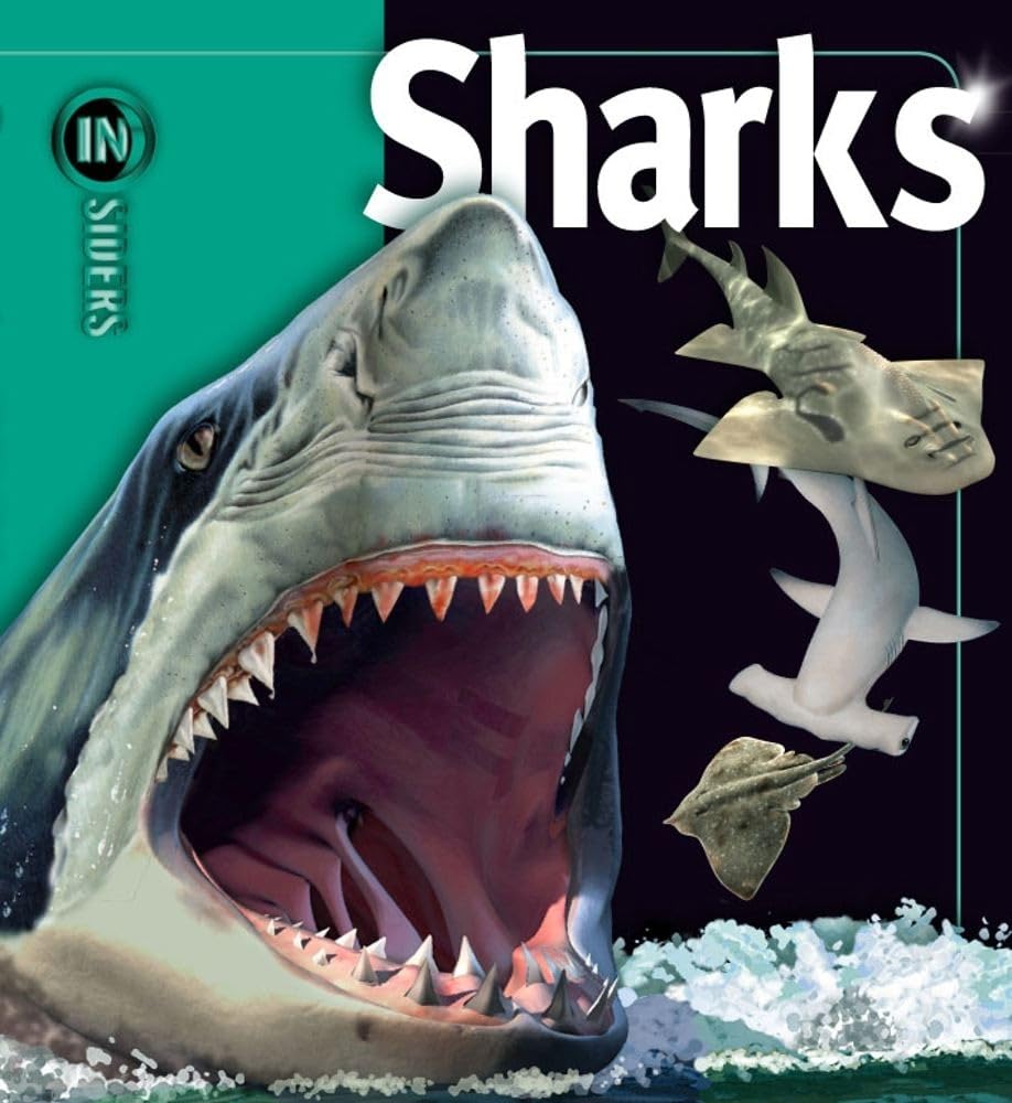 Sharks (Insiders),Used
