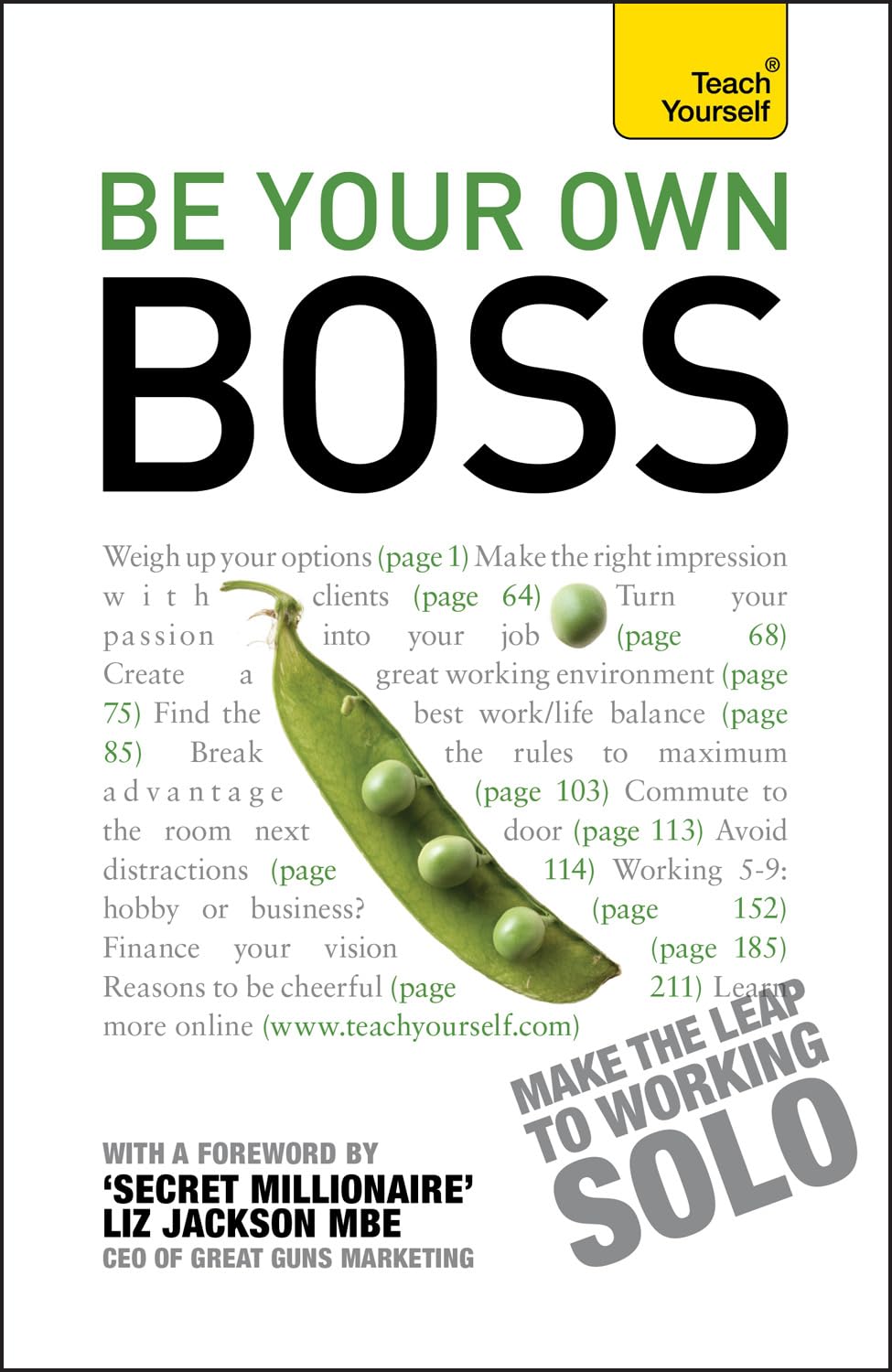 Be Your Own Boss (Teach Yourself Business Skills)