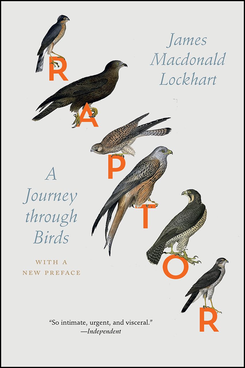 Raptor: A Journey through Birds,Used