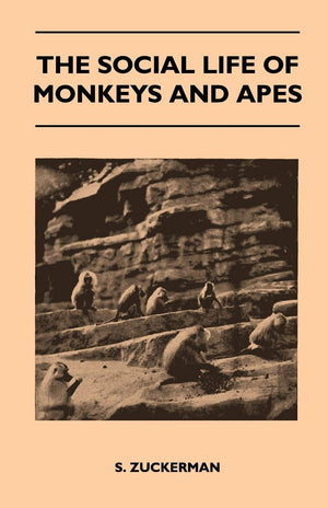 The Social Life of Monkeys and Apes,Used