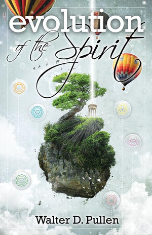 Evolution of the Spirit,Used