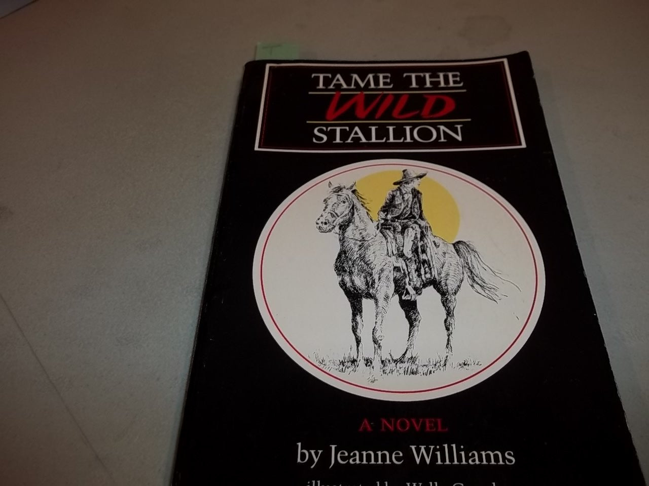 Tame the Wild Stallion (Chaparral Books (Paperback)),Used