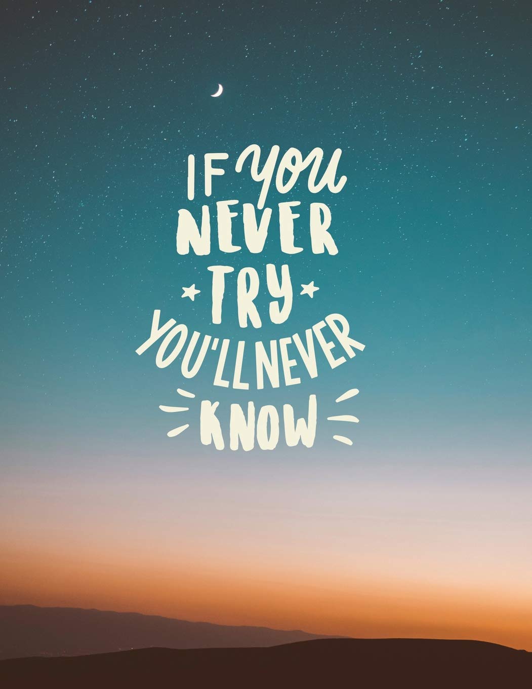 I'f you never try, you'll never know: Inspirational quote notebook ? Personal notes ? Daily diary ? Office supplies  8.5 x 11  ,Used