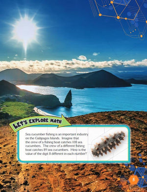 Travel Adventures: The Galpagos Islands: Understanding Decimals (Mathematics in the Real World),Used