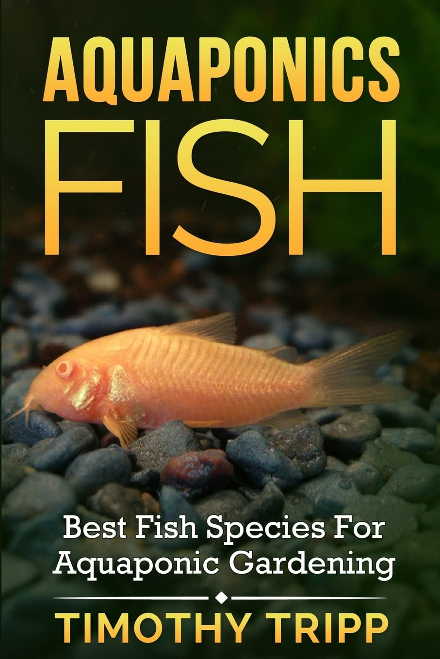 Aquaponics Fish: Best Fish Species For Aquaponic Gardening,New