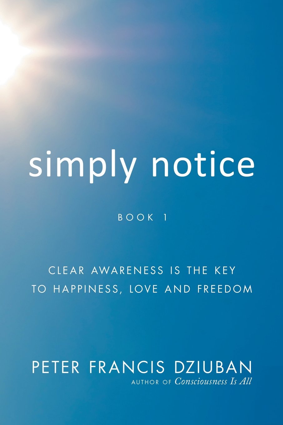 Simply Notice Book 1: Clear Awareness Is the Key to Happiness, Love and Freedom,Used