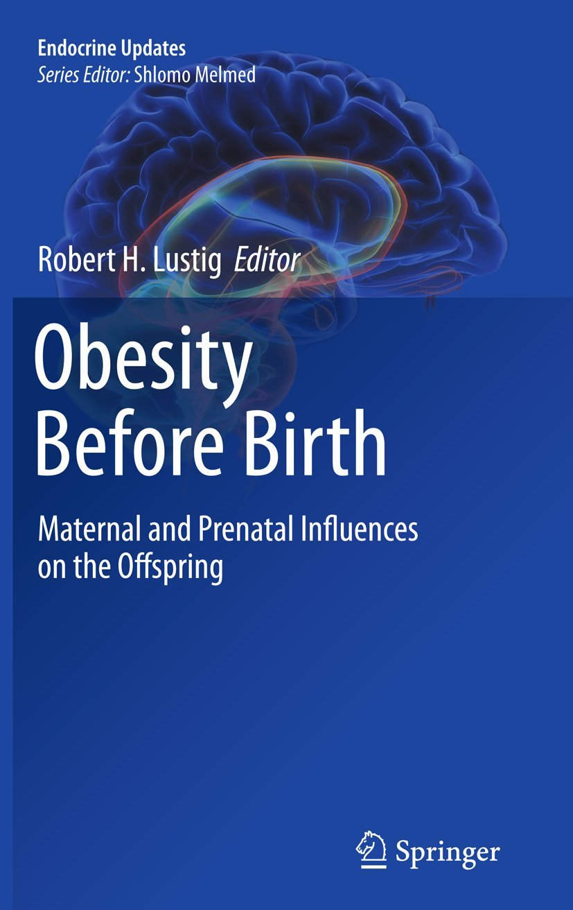 Obesity Before Birth: Maternal and prenatal influences on the offspring (Endocrine Updates, 30),Used