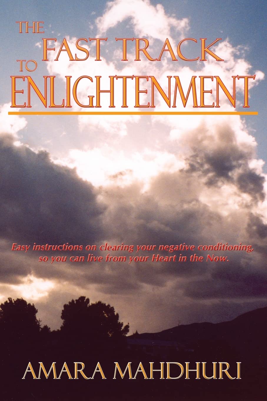 The Fast Track To Enlightenment,New
