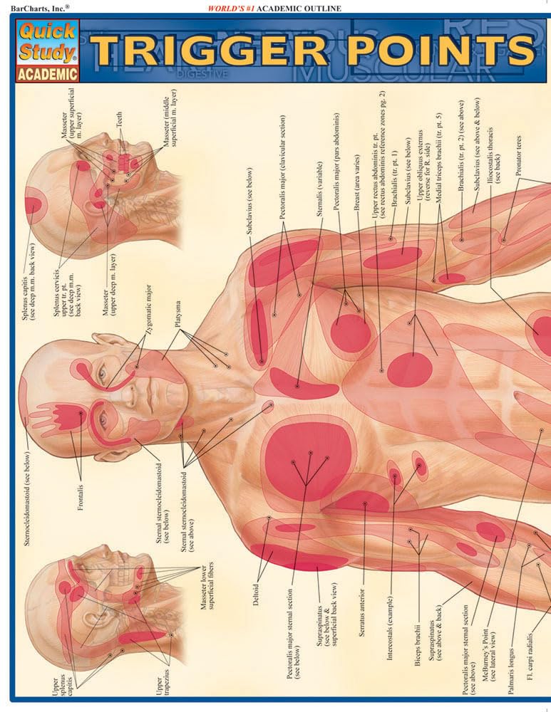 Trigger Points QuickStudy Laminated Reference Guide (QuickStudy Academic),New