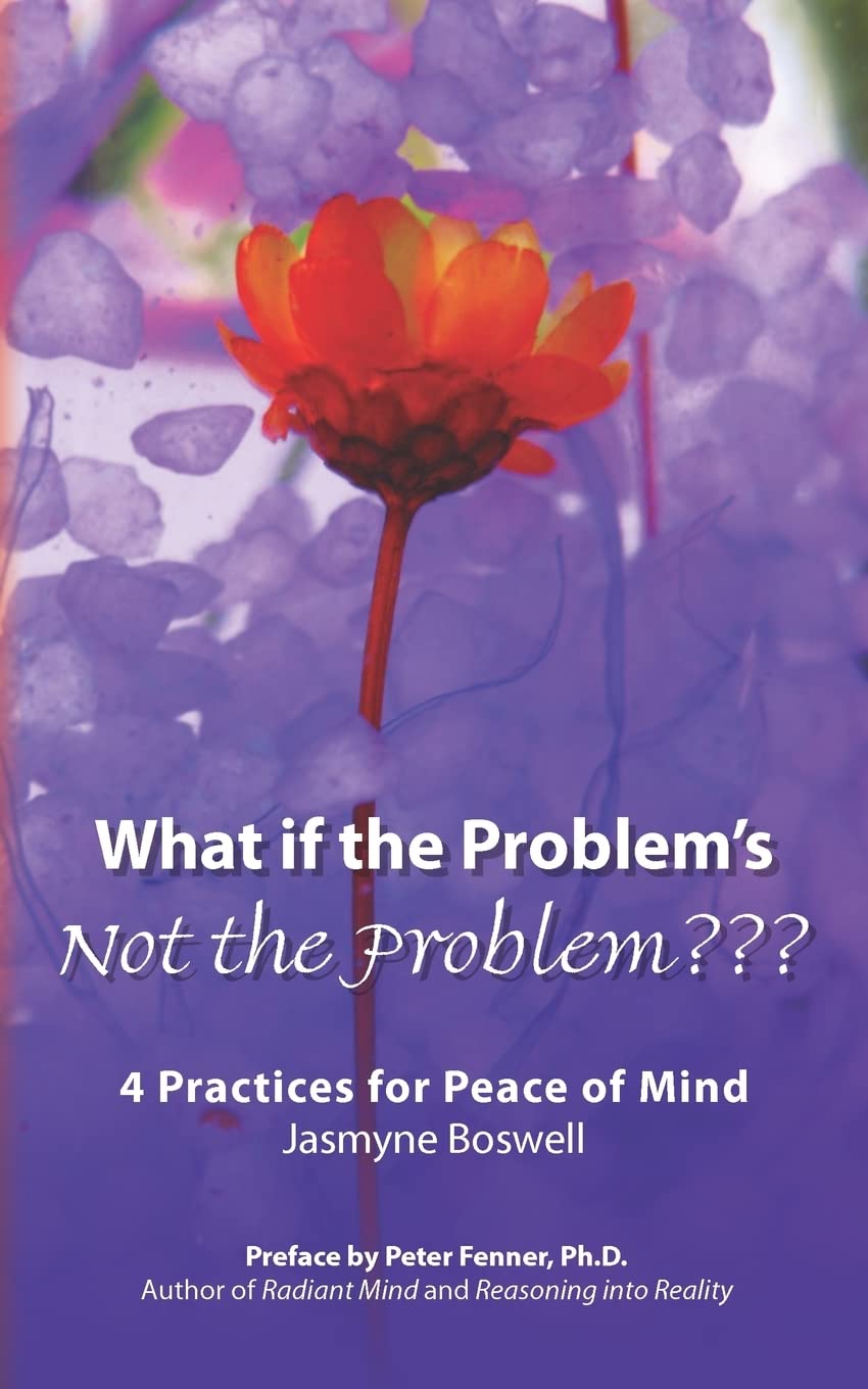 What If The Problem'S Not The Problem???: 4 Practices For Peace Of Mind,Used
