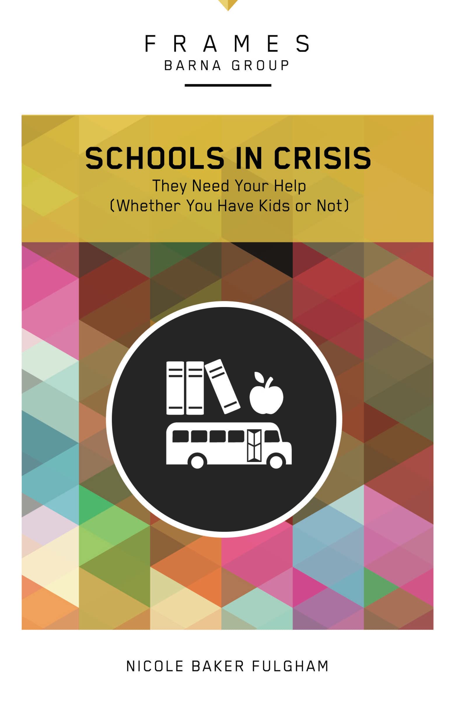 Schools in Crisis, Paperback (Frames Series): They Need Your Help (Whether You Have Kids or Not),Used