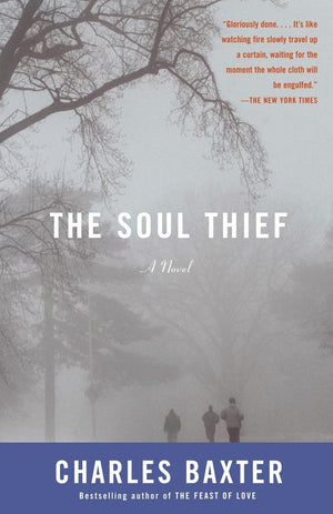 The Soul Thief (Vintage Contemporaries),Used