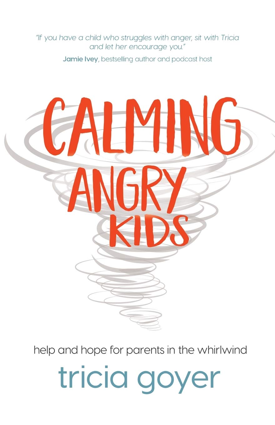 Calming Angry Kids: Help and Hope for Parents in the Whirlwind,Used