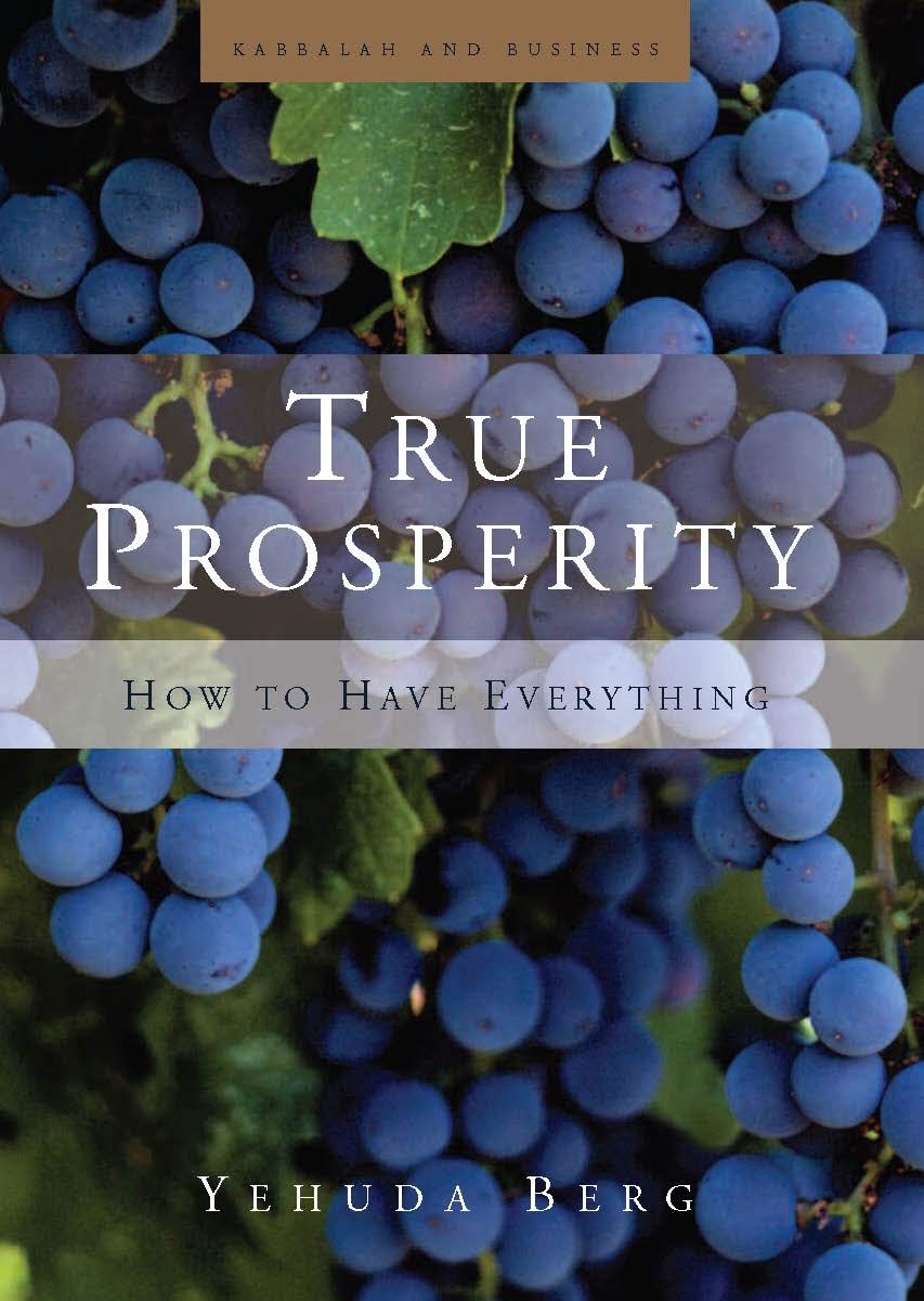 True Prosperity: How to Have Everything,Used