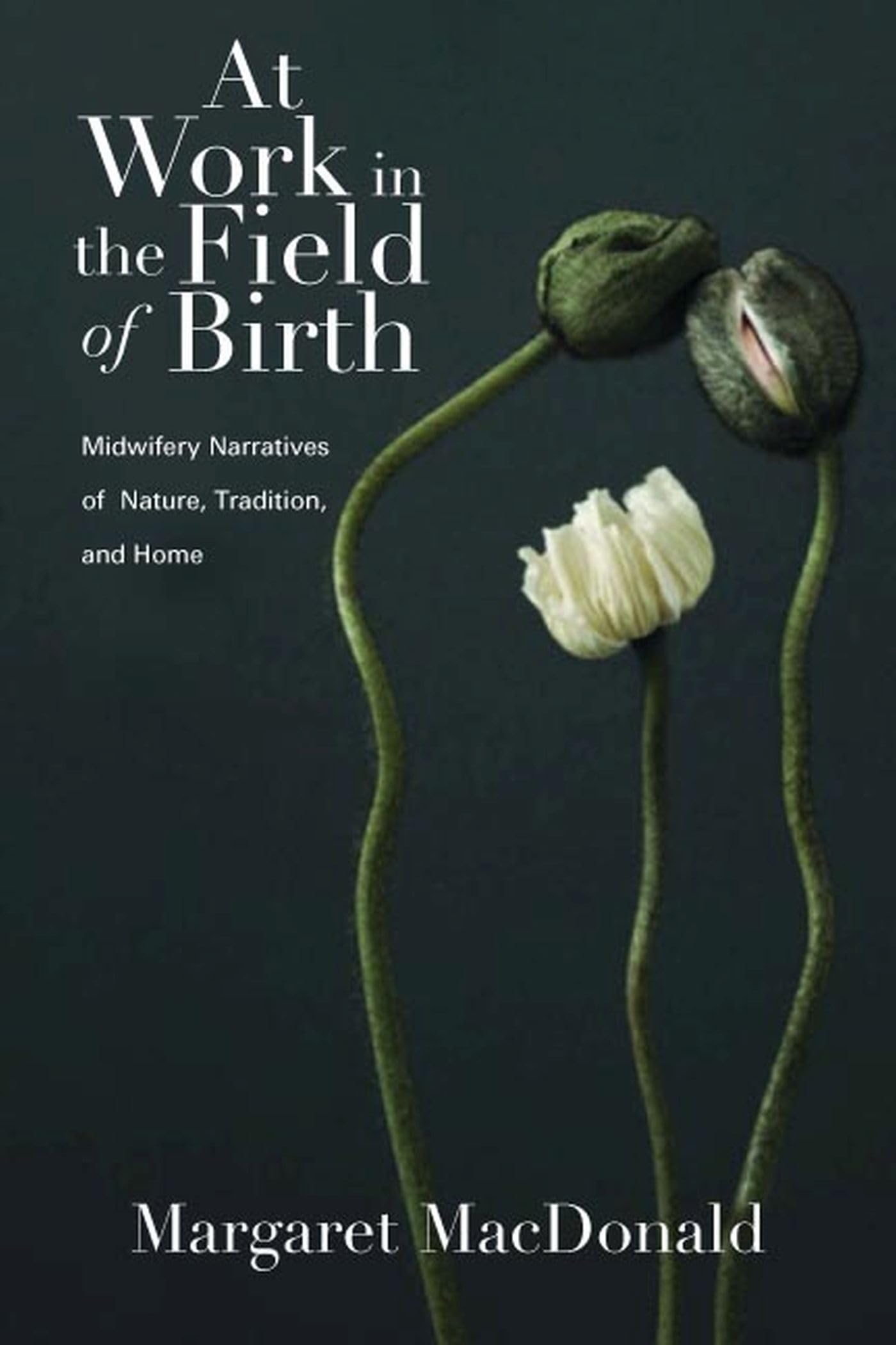 At Work In The Field Of Birth: Midwifery Narratives Of Nature, Tradition, And Home