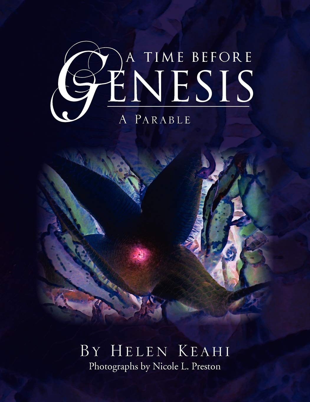 A Time Before Genesis,Used