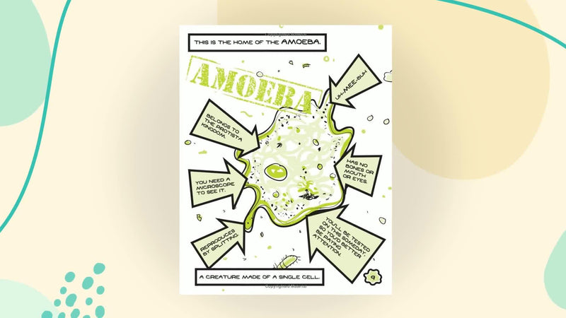Squish #1: Super Amoeba,Used