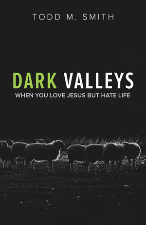 Dark Valleys: When You Love Jesus But Hate Life,Used