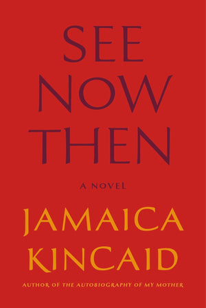 See Now Then: A Novel,Used