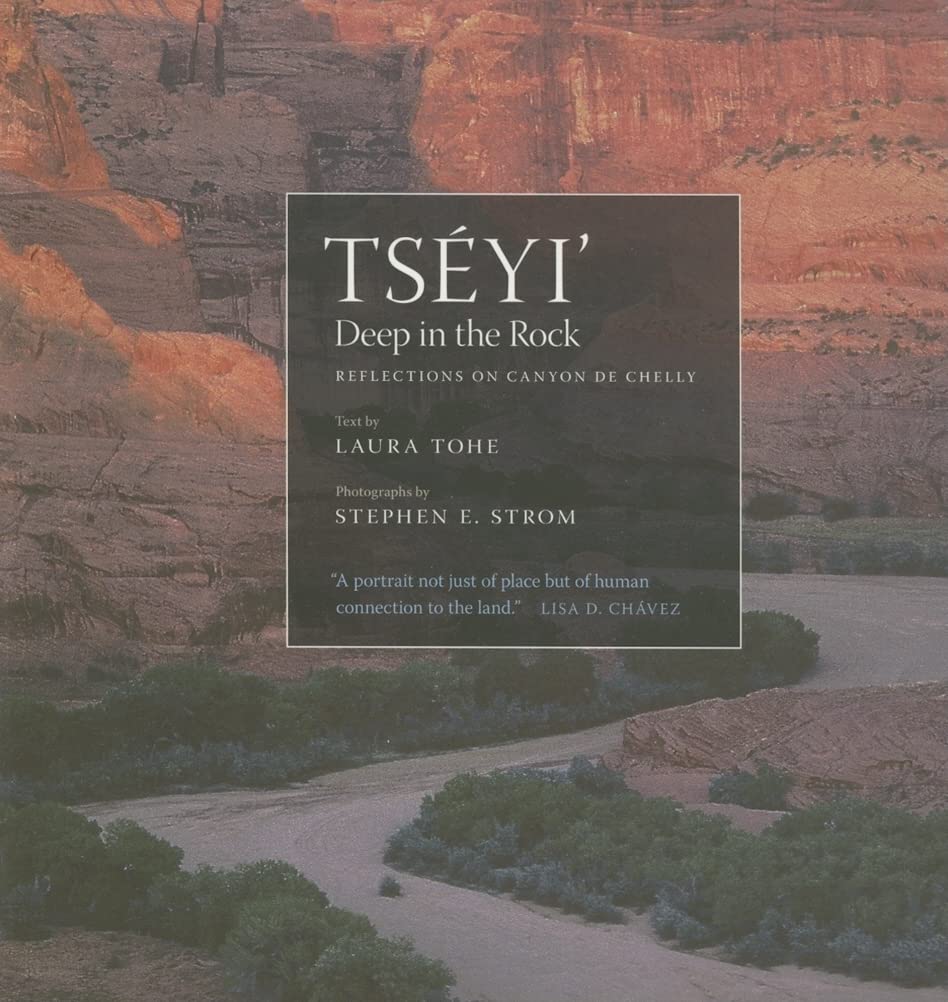 Tsyi' / Deep In The Rock: Reflections On Canyon De Chelly (Volume 54) (Sun Tracks),Used