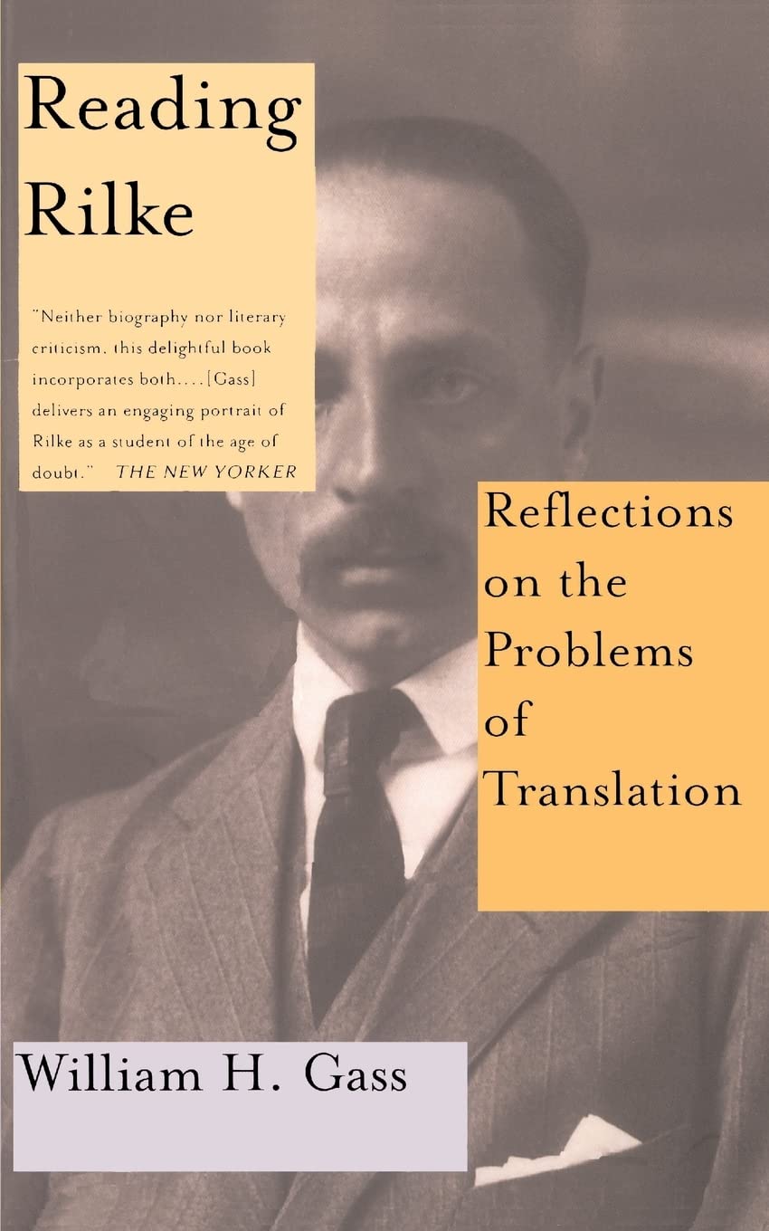 Reading Rilke Reflections On The Problems Of Translations,Used