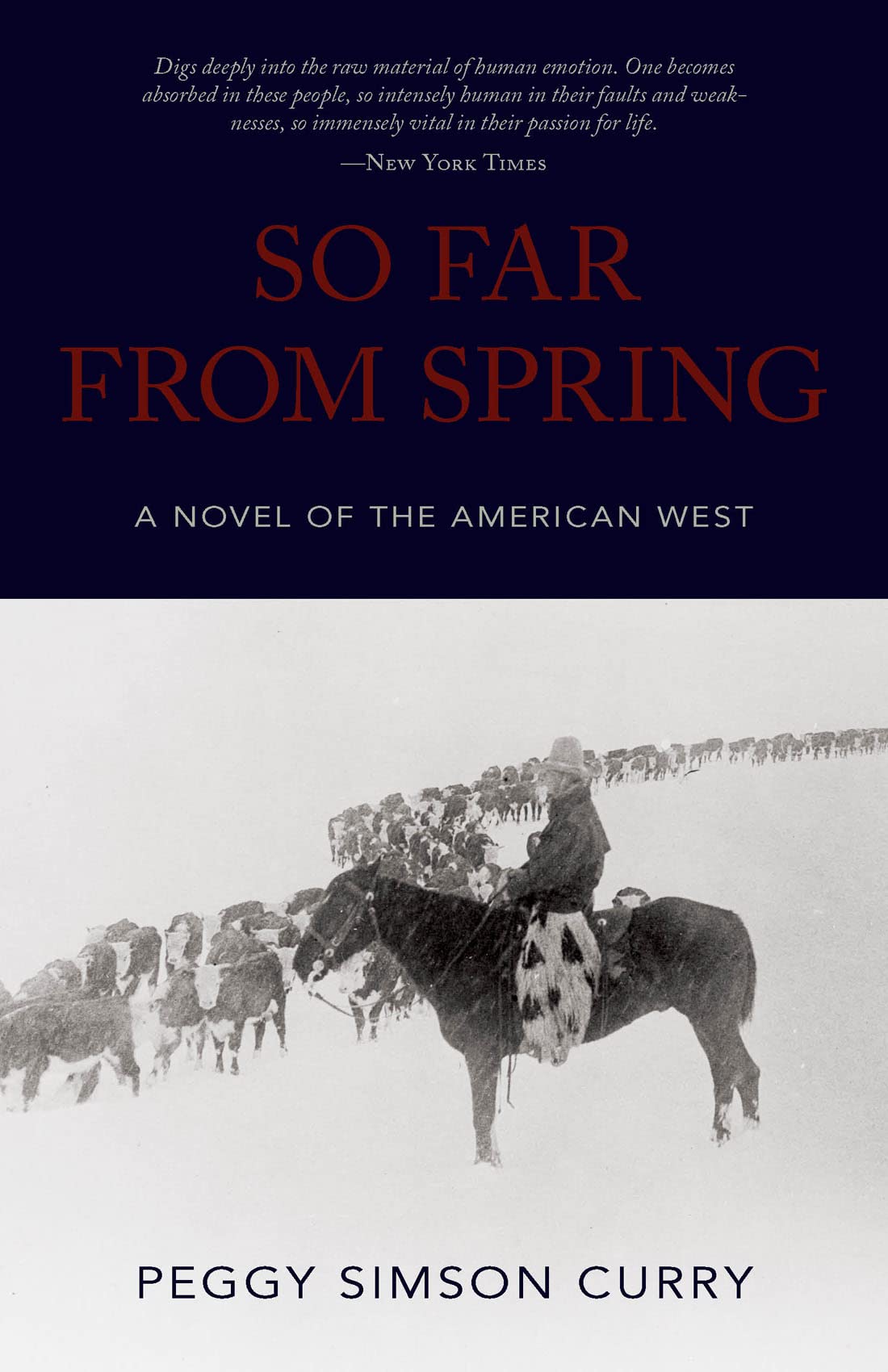 So Far from Spring: A Novel of the American West (The Pruett Series),Used