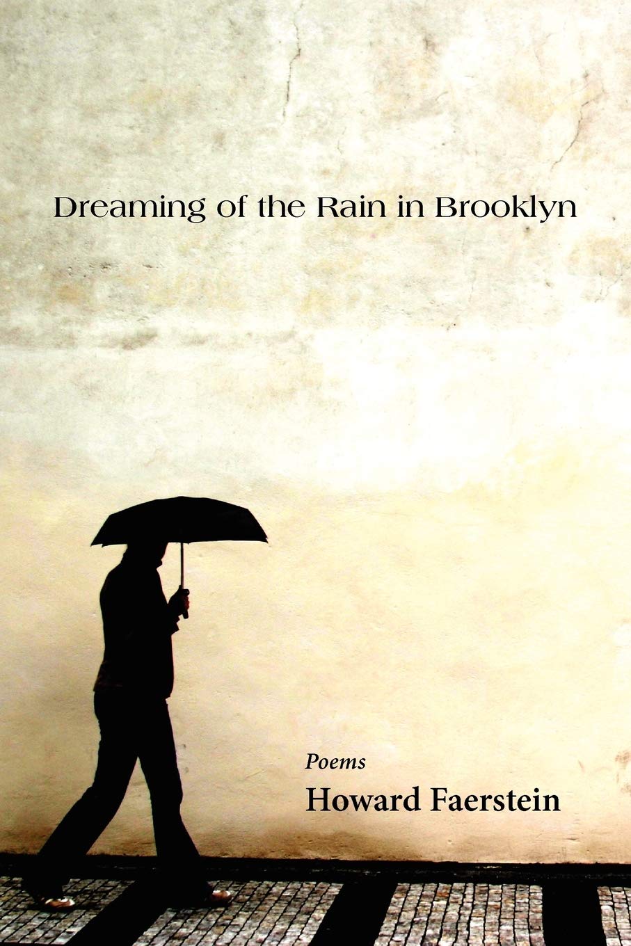 Dreaming of the Rain in Brooklyn,Used