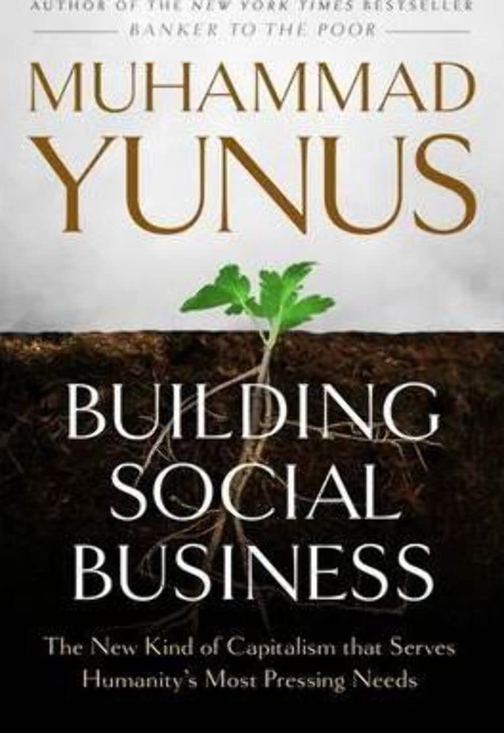 Building Social Business: The New Kind of Capitalism That Serves Humanity's Most Pressing Needs,Used