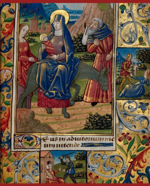 Western Illuminated Manuscripts in the Victoria and Albert Museum,New