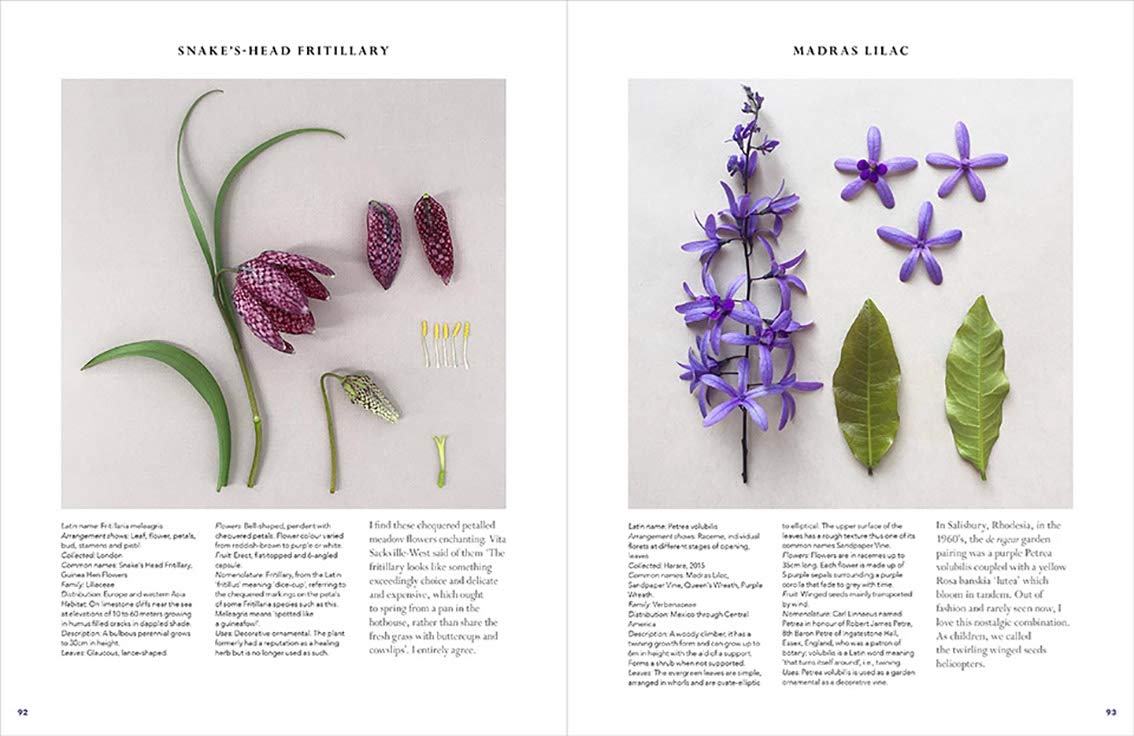 The Accidental Botanist: A Deconstructed Flower Book,Used