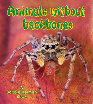 Animals Without Backbones (Big Science Ideas),Used