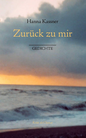 Zurck zu mir (German Edition),Used